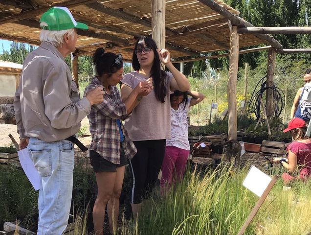 fotos tomadas por personas del vivero de Potrerillos